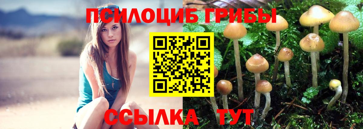 Галлюциногенные грибы мицелий  Вход с VPN  Галлюциногенные грибы прущие грибы  Керчь 